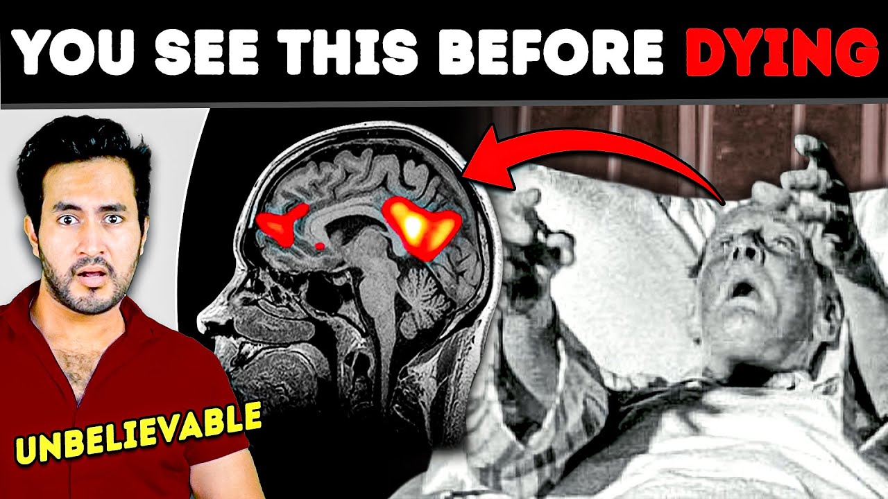 Scientists Finally Discovered What You SEE Before You DIE | Medical Science Case Studies