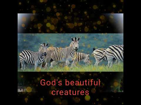 OBUTONZI by Revelations choir