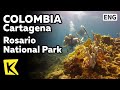 K Colombia Travel Cartagena 콜롬비아 여행 카르타헤나 로사리오 국립공원 스킨스�