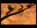 The Lion King Trailer 1080p