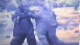 ゴジラ1983（ゴジラ対地底怪獣パゴス）