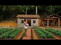 CEO Leaves The City To Live In The Forest Designing His Own Kitchen