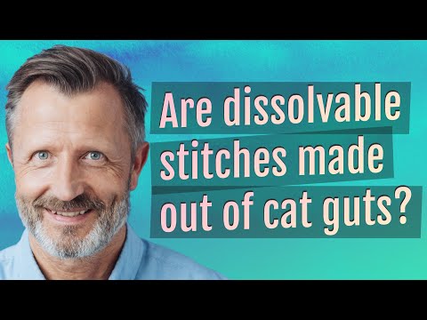 Are dissolvable stitches made out of cat guts?