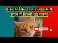 Killing A Cat In A Dream Seeing A Cat Attack In A Dream Being Attacked By A Cat In A Dream