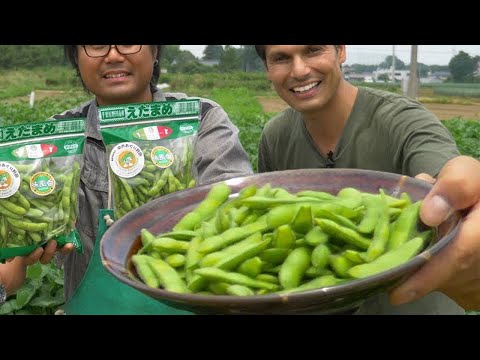 江豆農場｜日本超級美食小吃大冒險★只在日本。 (Edamame Farm | Japanese Superfood Snack Adventure ★ ONLY in JAPAN)