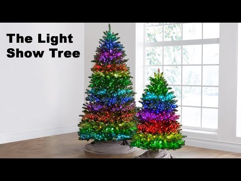 The Light Show Tree