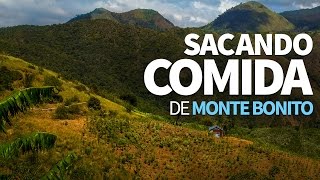 Sacando comida de Monte Bonito Sacando comida de Monte Bonito