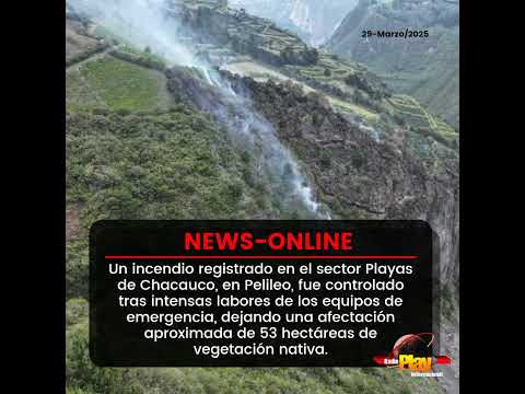 🟠#NewsOnline - #Ecuador🇪🇨 ▶️ Incendio forestal en Tungurahua deja más de 50 hectáreas afectadas.