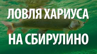 Бомбарда на хариуса схема весы
