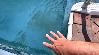 Ascorbic acid in a pool truly the cure must see this video clears up stains in seconds