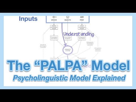 The "PALPA Model" Explained: Normal Language Processing in Psycholinguistics