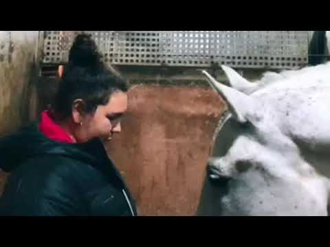 Beneficios psicológicos de los caballos