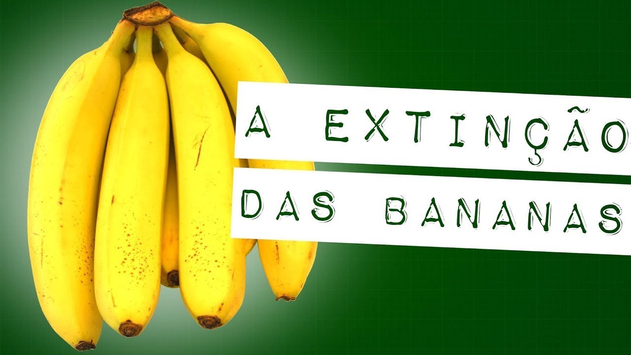 A EXTINÇÃO DAS BANANAS