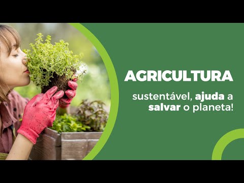 AGRICULTURA SUSTENTÁVEL: 5 Práticas Inovadoras Para Salvar o Planeta