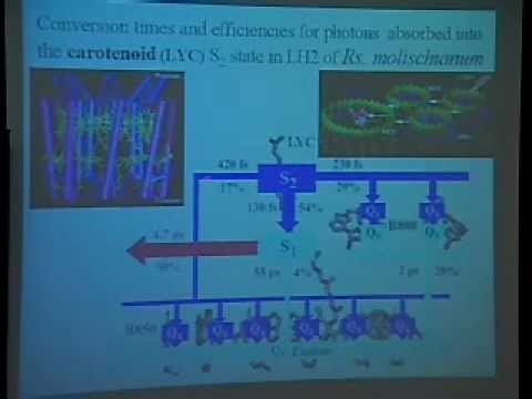 TCBG Summer School 2003: Modeling Large Systems - ATP Synthase