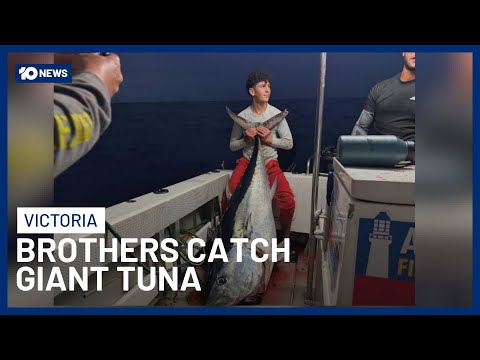 Melbourne Brothers Catch Giant 107kg Bluefin Tuna Worth Millions In Japan | 10 News