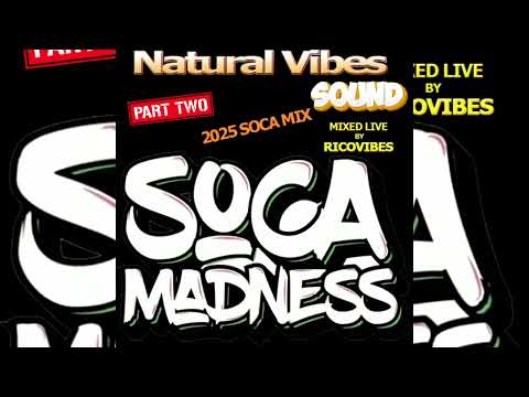 SOCA MADNESS 2025 SOCA MIX PT  2 BY NATURAL VIBES SOUND