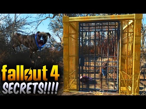 Fallout 4 Secrets - Secret Caged Dog That Leads You To a Secret Trader! (Fallout 4 Things To Know)