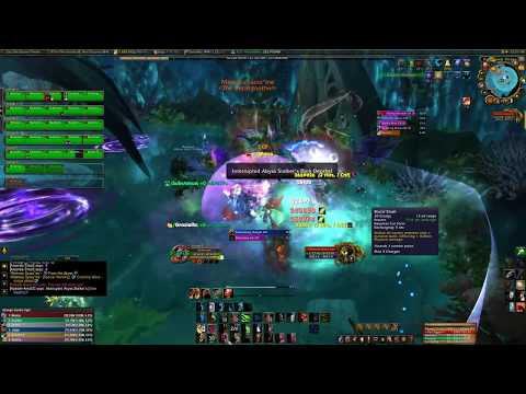 Fail Feral Druid Heroic TOS !!