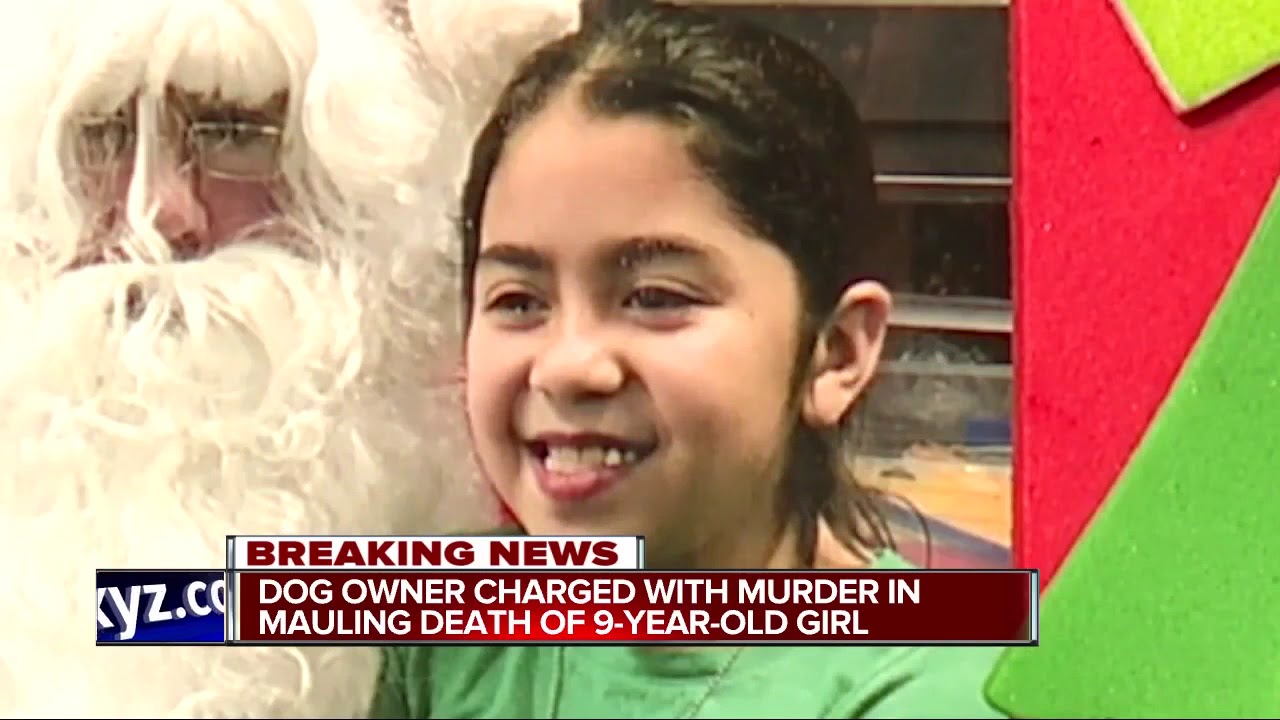 Man charged in death of Detroit girl attacked by 3 dogs | Honolulu Star ...