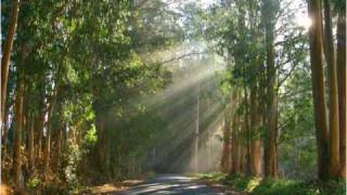 *Mark Lanegan* - *eyes of a child* (w/ Lyrics)