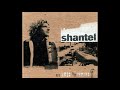 Shantel - Rebels (Without A Pause)