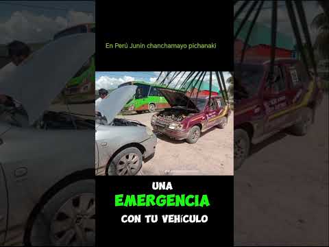 se encuentra en Perú Junín chanchamayo pichanaki