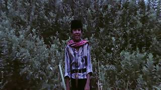 Download lagu Si Doel Anak Betawi (HD) mp3