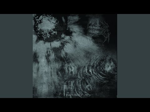 Vae Soli (Original Mix)