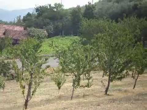 8 rally due valli historic 2013