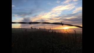 #173 in the Zion's Harp: Heart's Wish