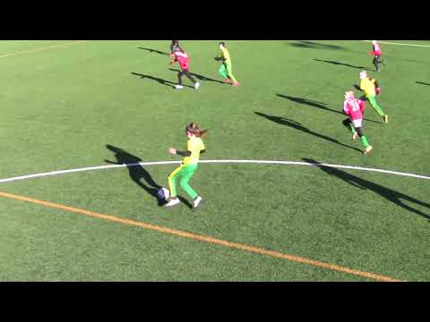 Ilves T09 keltainen – TPV