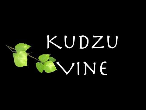 Truck Patch Revival - Kudzu Vine (Official Lyric Video)