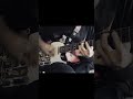 Hella — Biblical Violence [guitar cover] #biblicalviolence #cover #guitar #guitarcover #hella