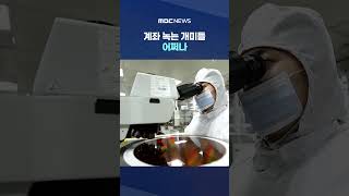 "어제는 좋다더니" 하루 만에 5% 급락‥계좌 녹는 개미들 어쩌나 #Shorts (MBC뉴스)