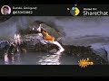 Maalayil Yaro Manathodu Peesa Chatriyan Love Status