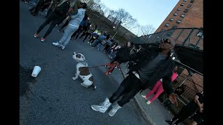 DMX BLOCK PARTY YONKERS SCHOOL ST PROJECTS