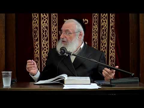 Laws of Sheva Brachos | Weekly Shiur By Rav Asher Weiss Shlit"a
