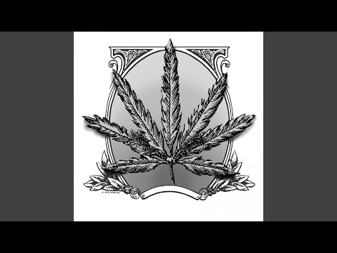 Wer Patte hat der kann