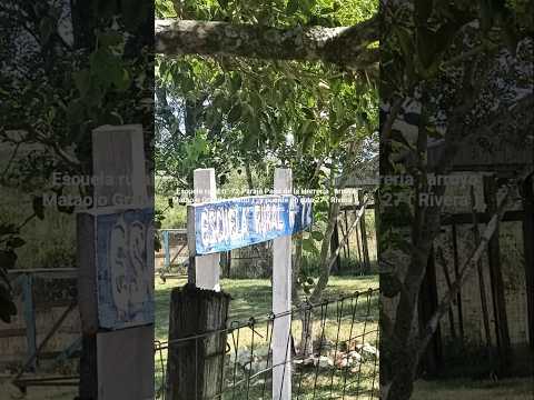 Paso de la Herrería  ( dpto. Salto )  y ruta 27 ( dpto. Rivera ) , Uruguay 🇺🇾 . Videitos.