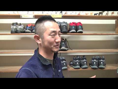 03 Yakushima Tourist Center 屋久島観光センター
