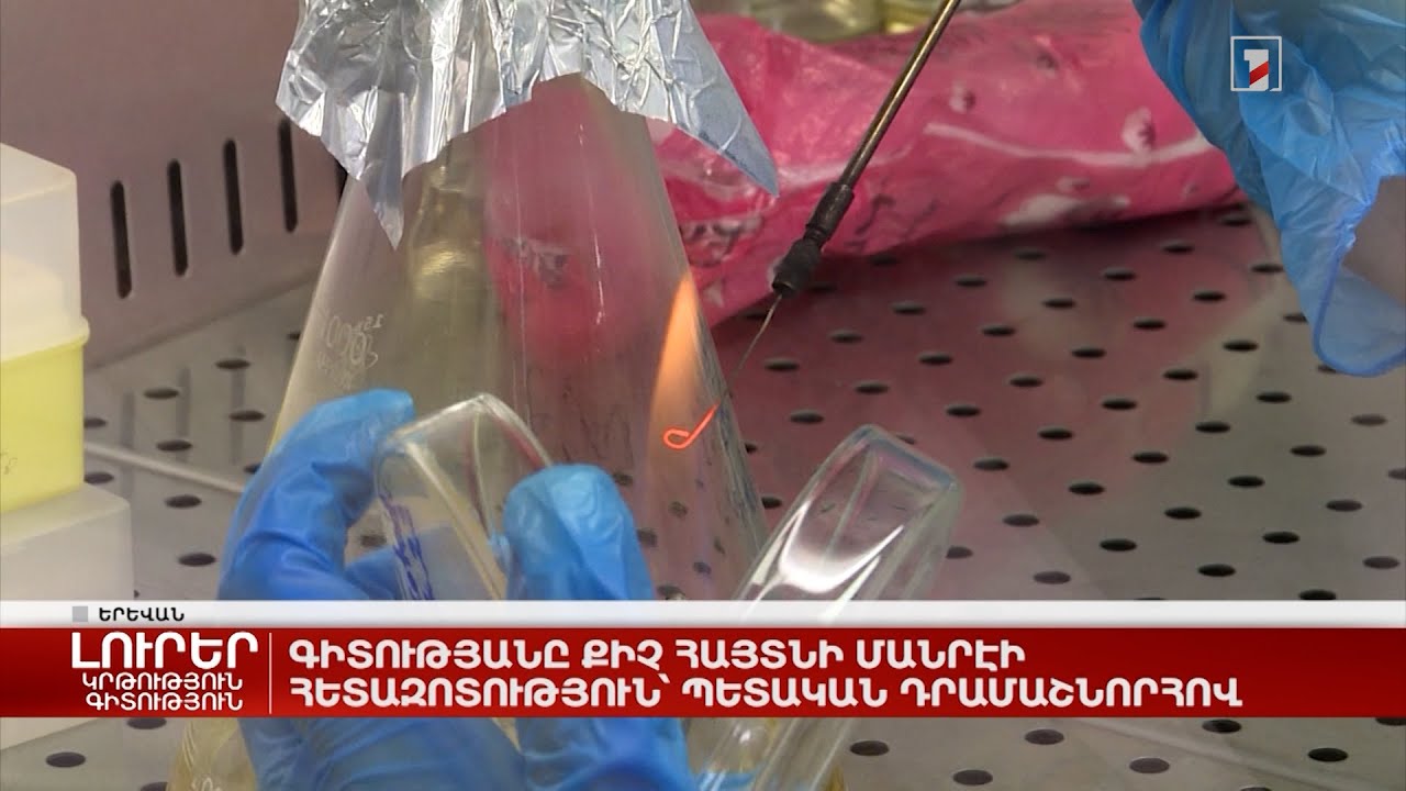 Գիտությանը քիչ հայտնի մանրէի հետազոտություն՝ պետական դրամաշնորհով