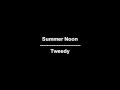 Summer noon - Tweedy - lyrics