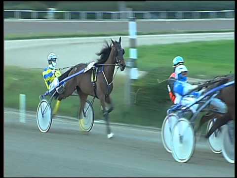 Trotto 26/02/2016 - 6° corsa