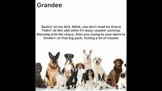 Cover art for attitude