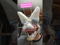 Articulated Dinomask Furry Antizoo Dinomask Fursuiters Therian Fursona Otherkin Alterhuman