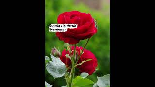 Download lagu COBALAH UNTUK MENGERTI||OBBIE MESSAKH||Cover ||Harmoniacd#liriklagu #nostalgia#ai #viral  mp3