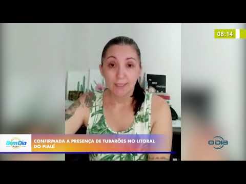 Confirmada a presença de tubaroÌƒes no litoral do PiauiÌ 07 09 20