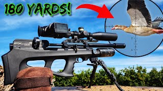 Download lagu Long-Range Hunt | FX Wildcat MK3 Compact BT | FX Impact M3 800mm TRS | Hits like a Hurricane #viral mp3