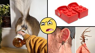 15 Cosas extrañas que puedes comprar en internet 🙀🤑